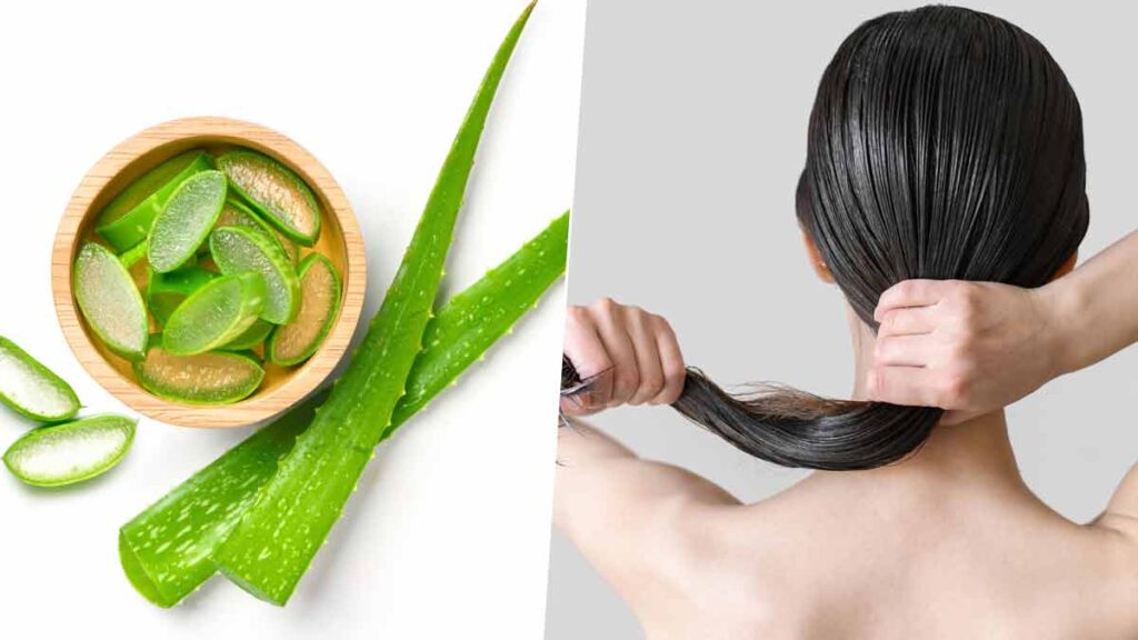 Benefits of Aloe Vera Gel for Hair
