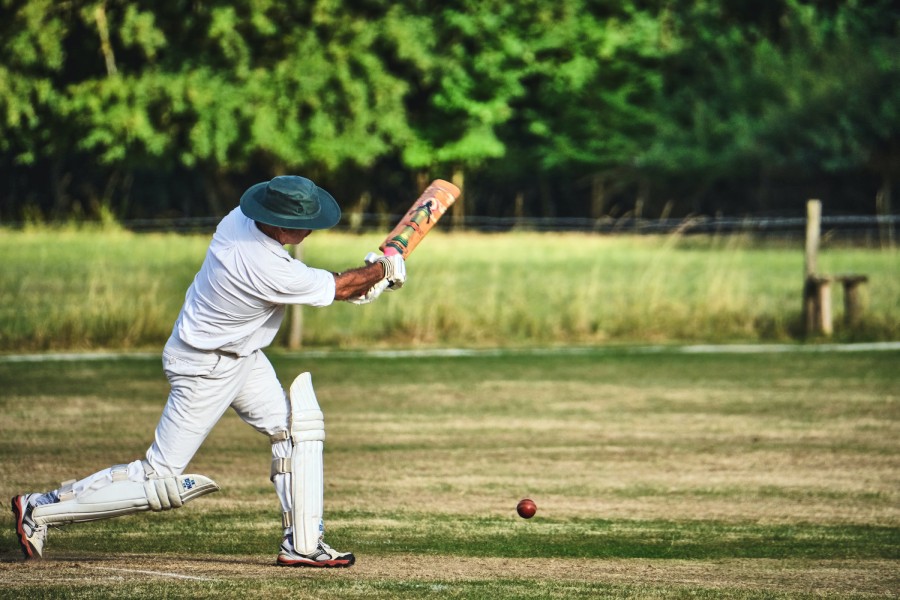 The Health Benefits Of Cricket

